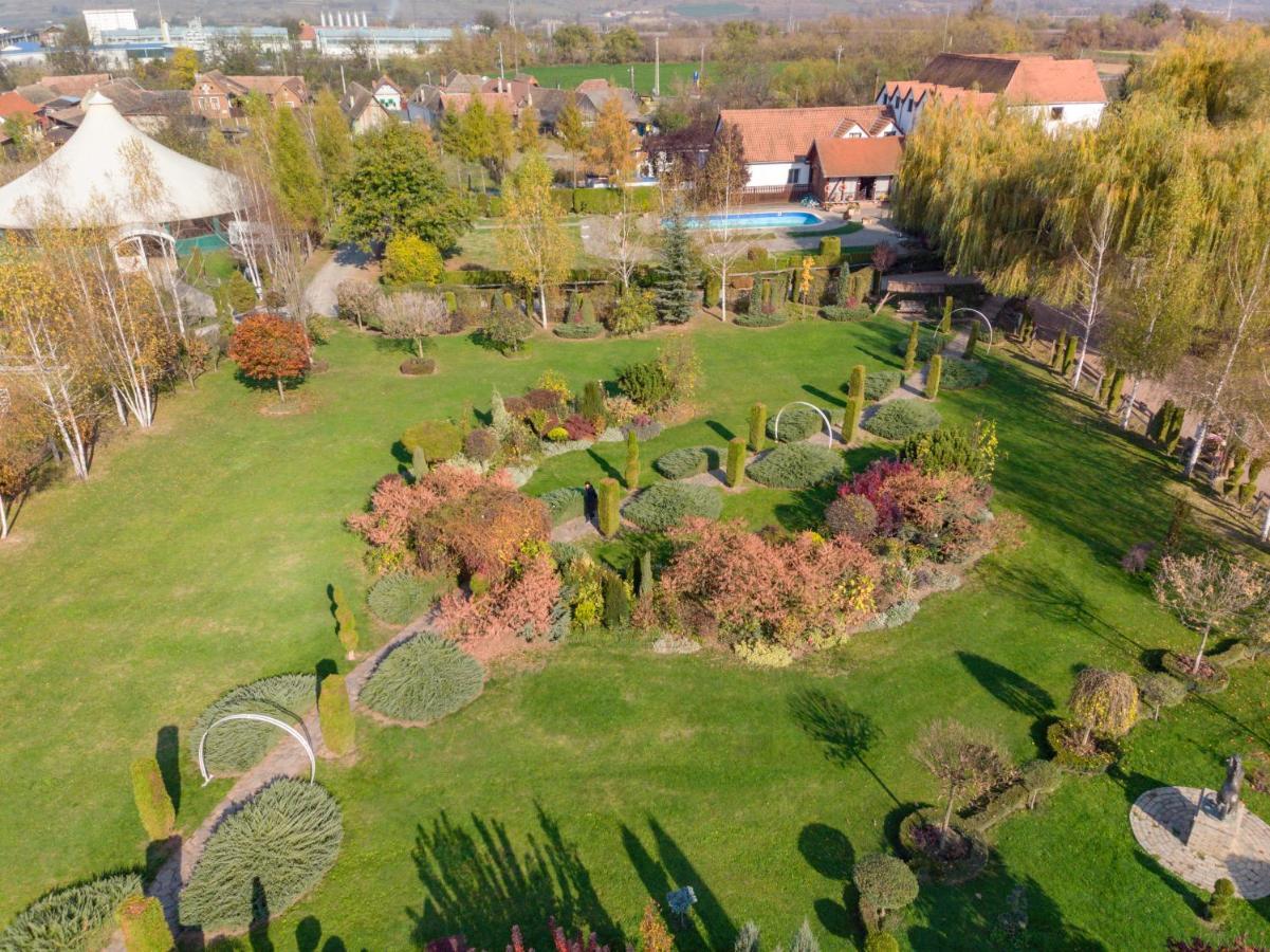 Domeniul Dracula Danes Hotel Kültér fotó