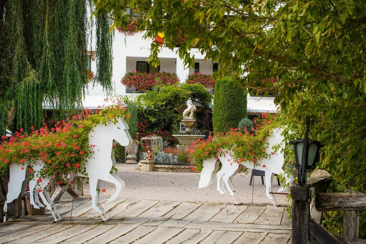Domeniul Dracula Danes Hotel Kültér fotó