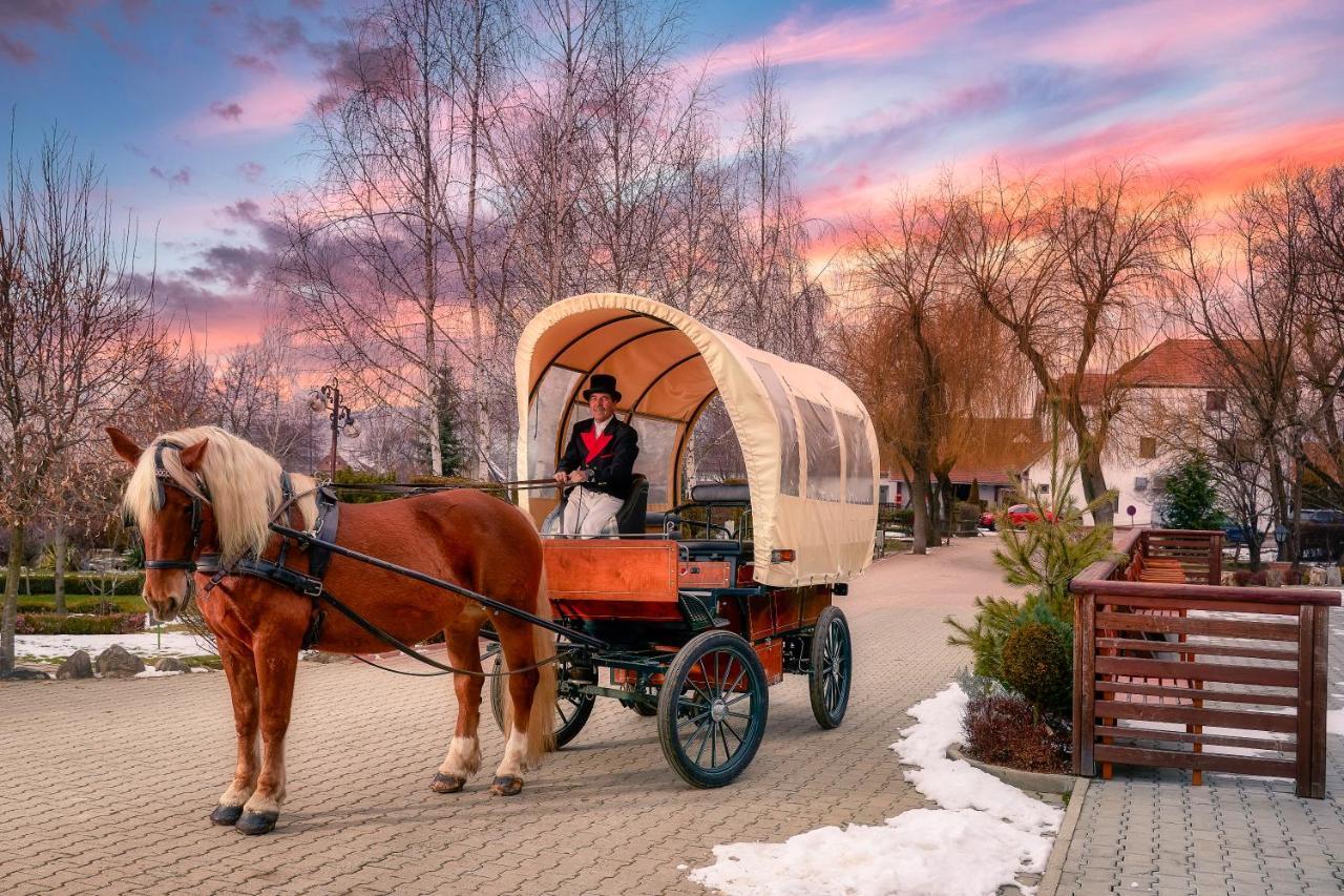 Domeniul Dracula Danes Hotel Kültér fotó