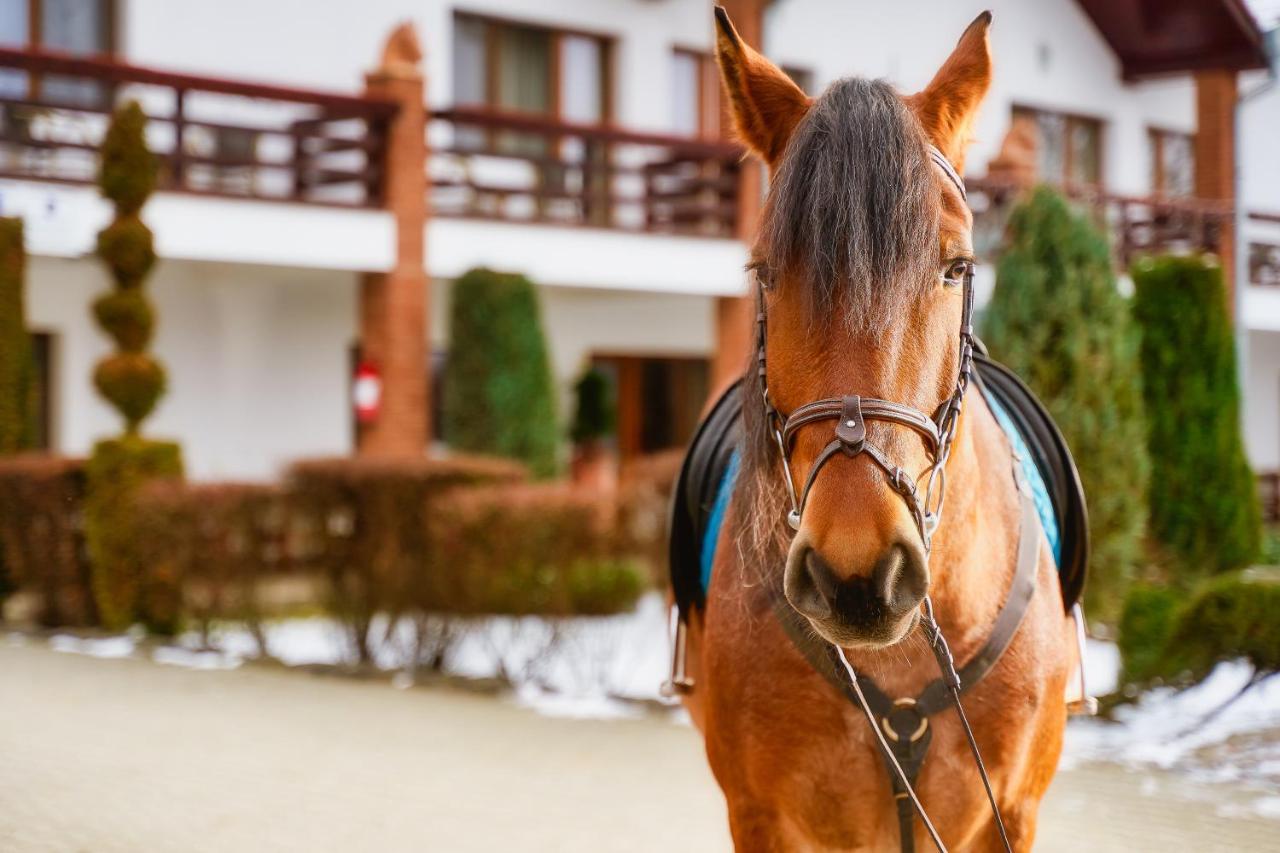 Domeniul Dracula Danes Hotel Kültér fotó